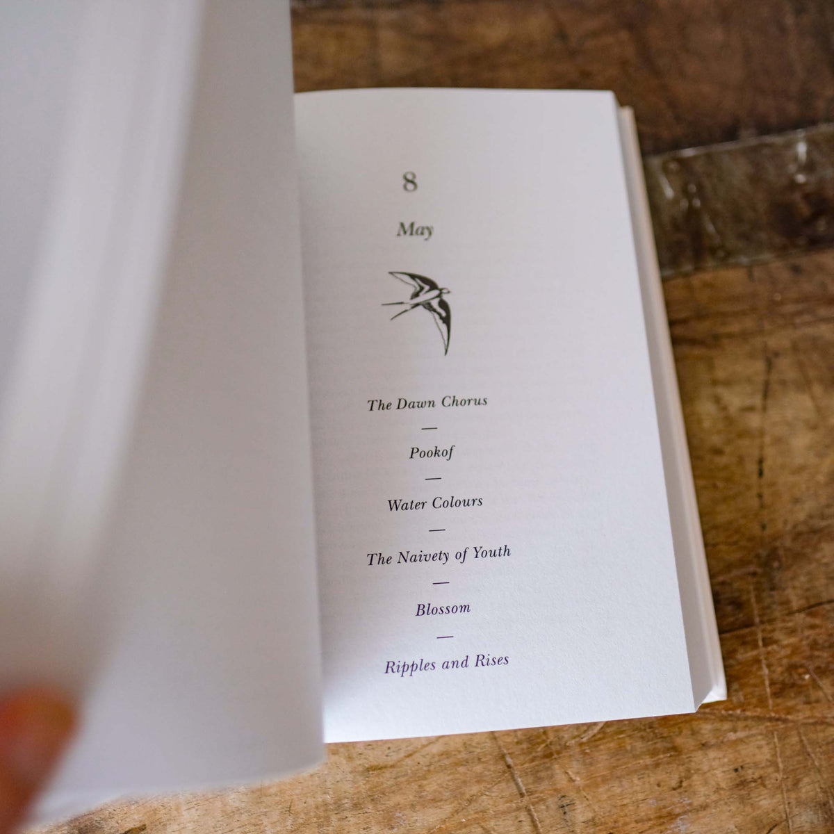 The Hidden Seasons: A Calendar of Nature's Clues by Tristan Gooley