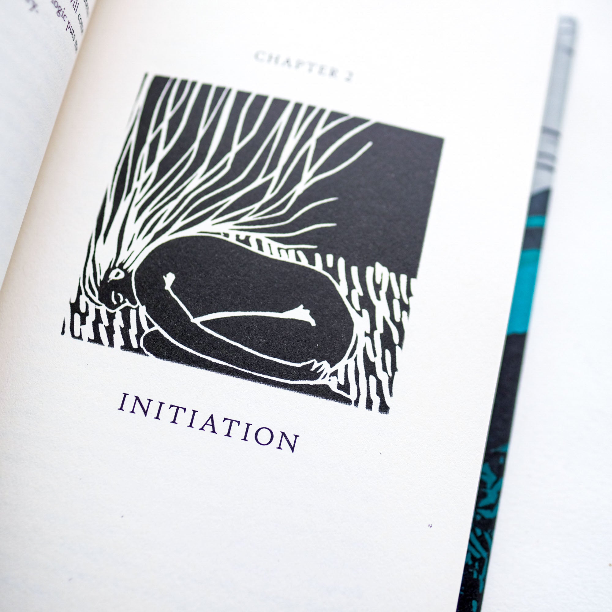 The Salt Stones: Seasons of a Shepherd’s Life by Helen Whybrow