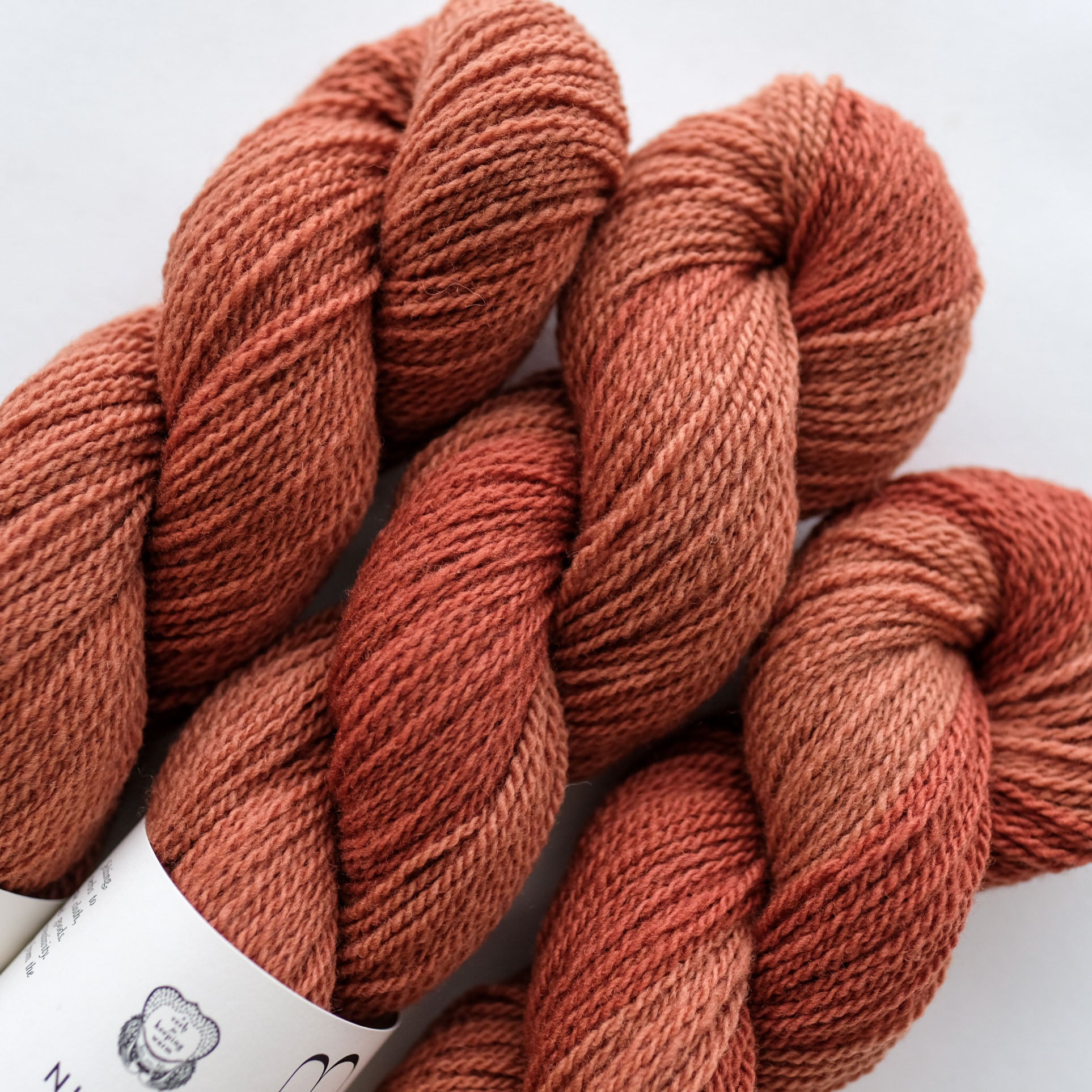 2025 Verb Anniversary Color: Candied Apple
