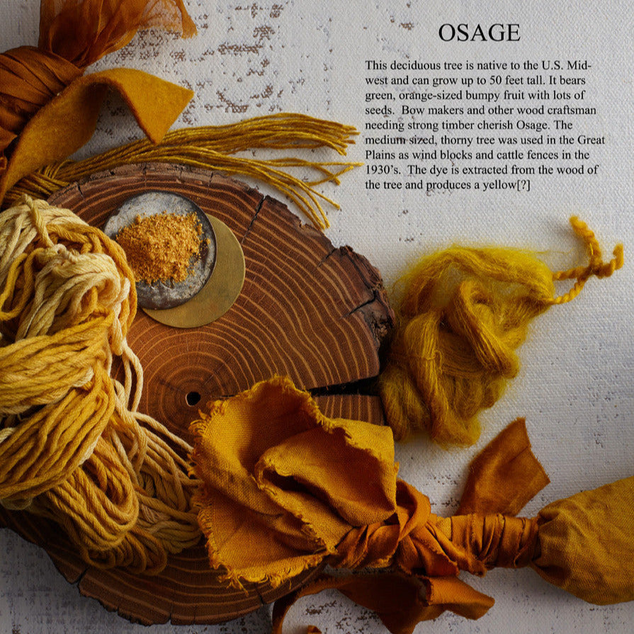 The Modern Natural Dyer by Kristine Vejar
