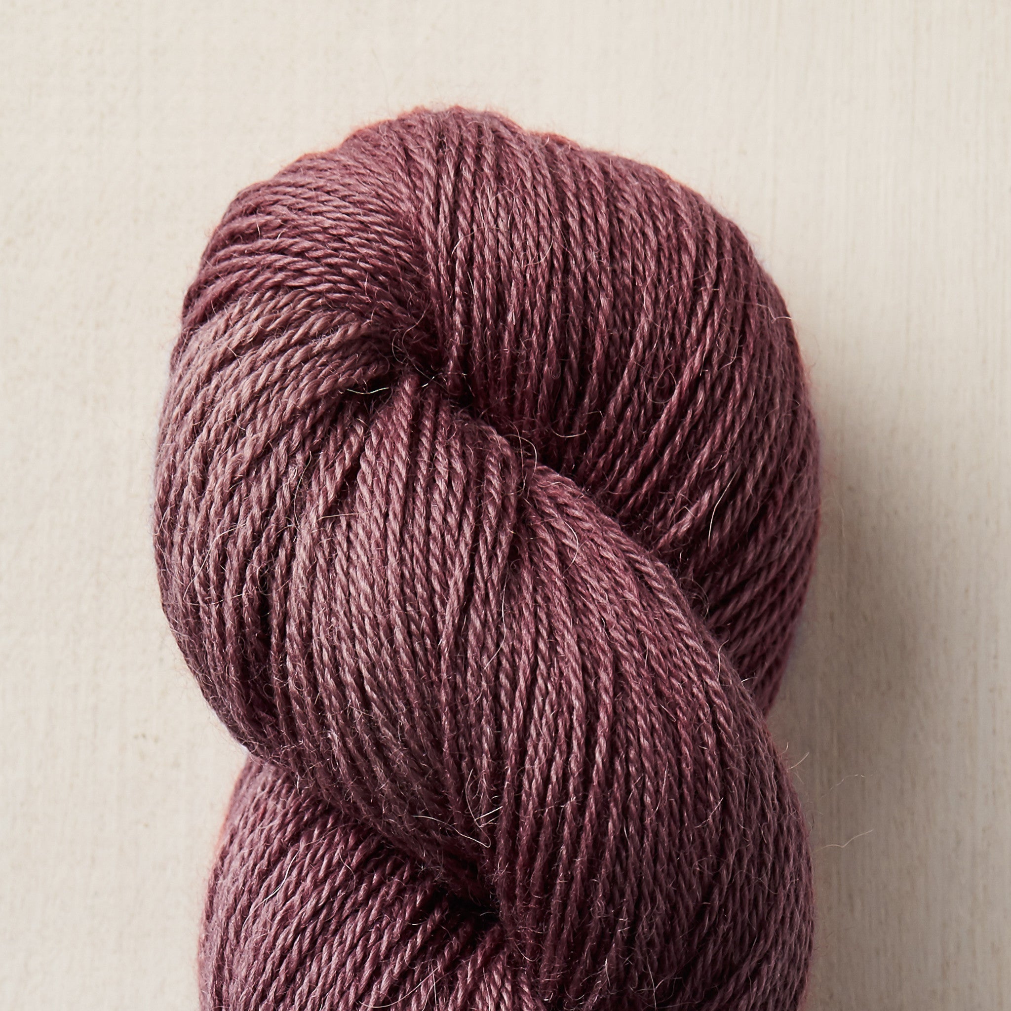 Label:Mollusk