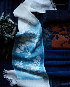 Journeys in Natural Dyeing: Techniques for Creating Color at Home by Kristine Vejar and Adrienne Rodriguez