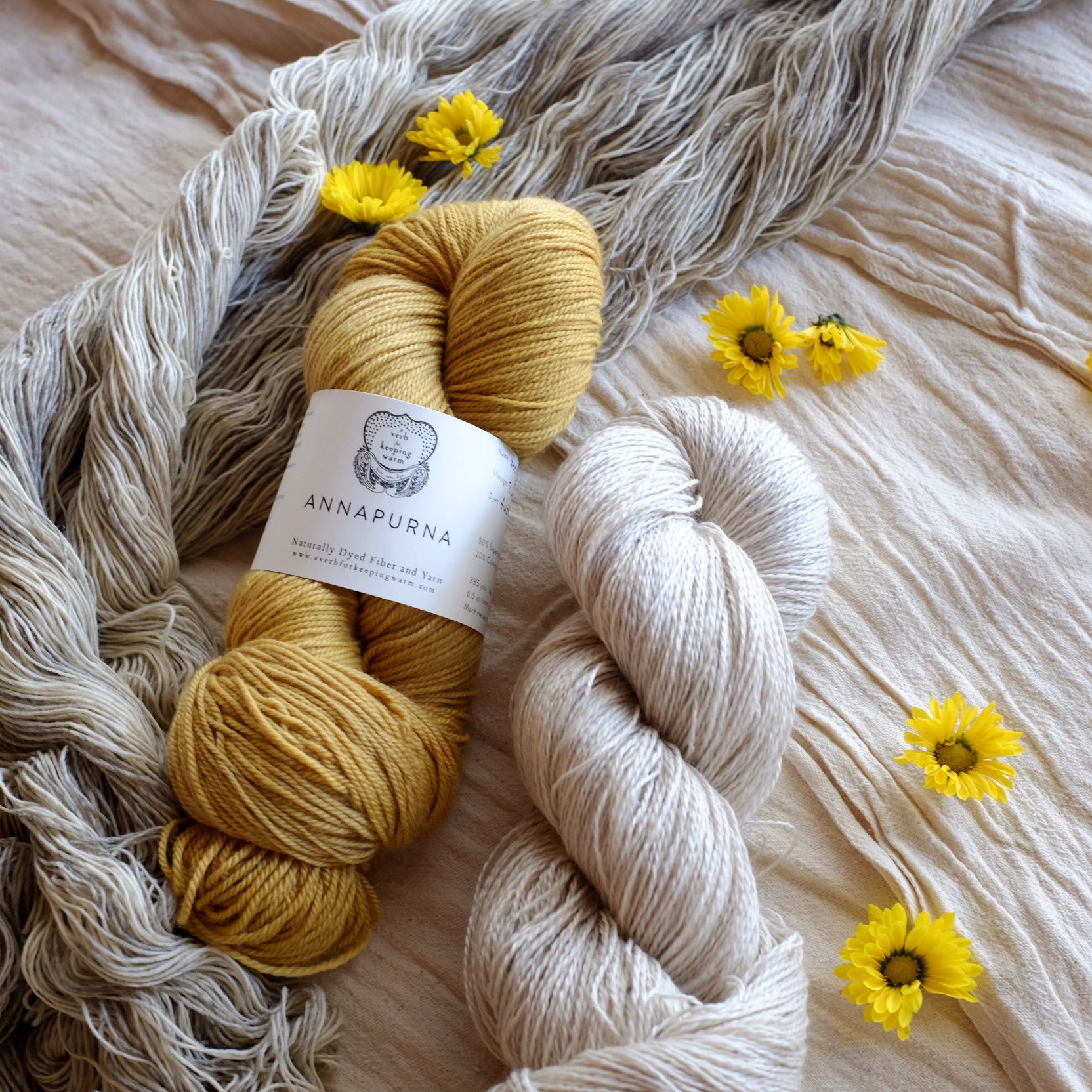 Pro-Verbial Yarn & Fiber Club - Returning Members