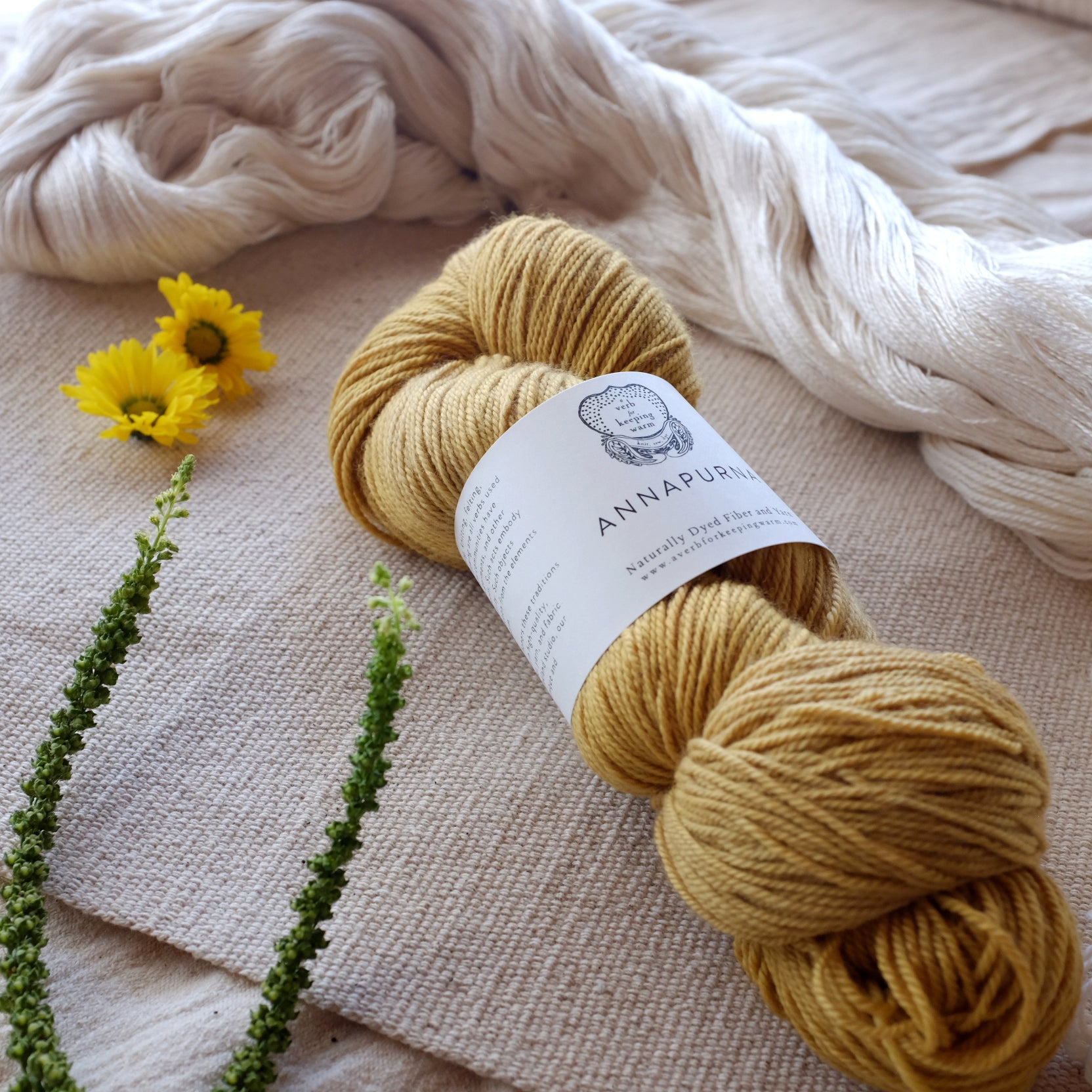 Pro-Verbial Yarn & Fiber Club