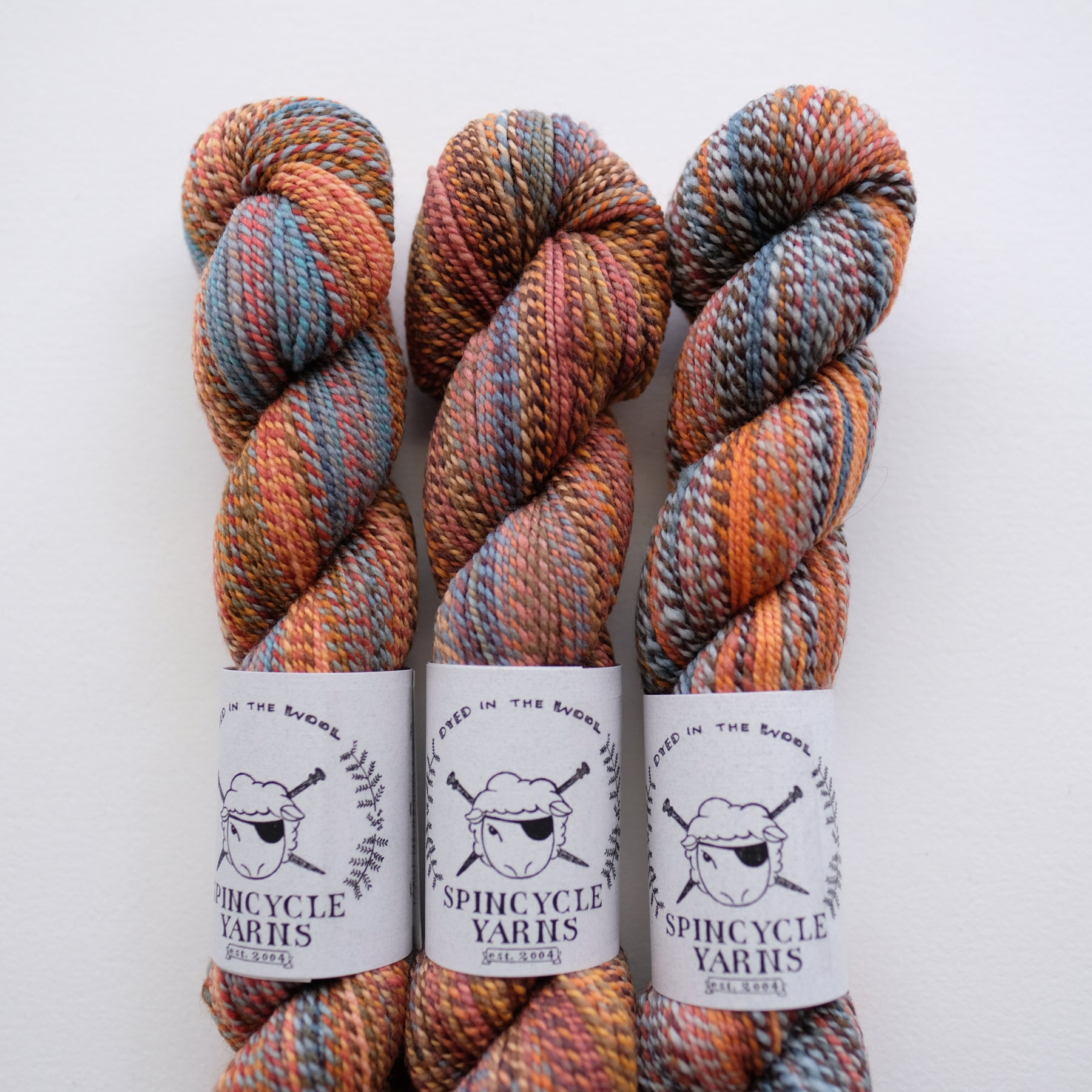 Spincycle Yarns Dyed in the Wool - River Colors Studio