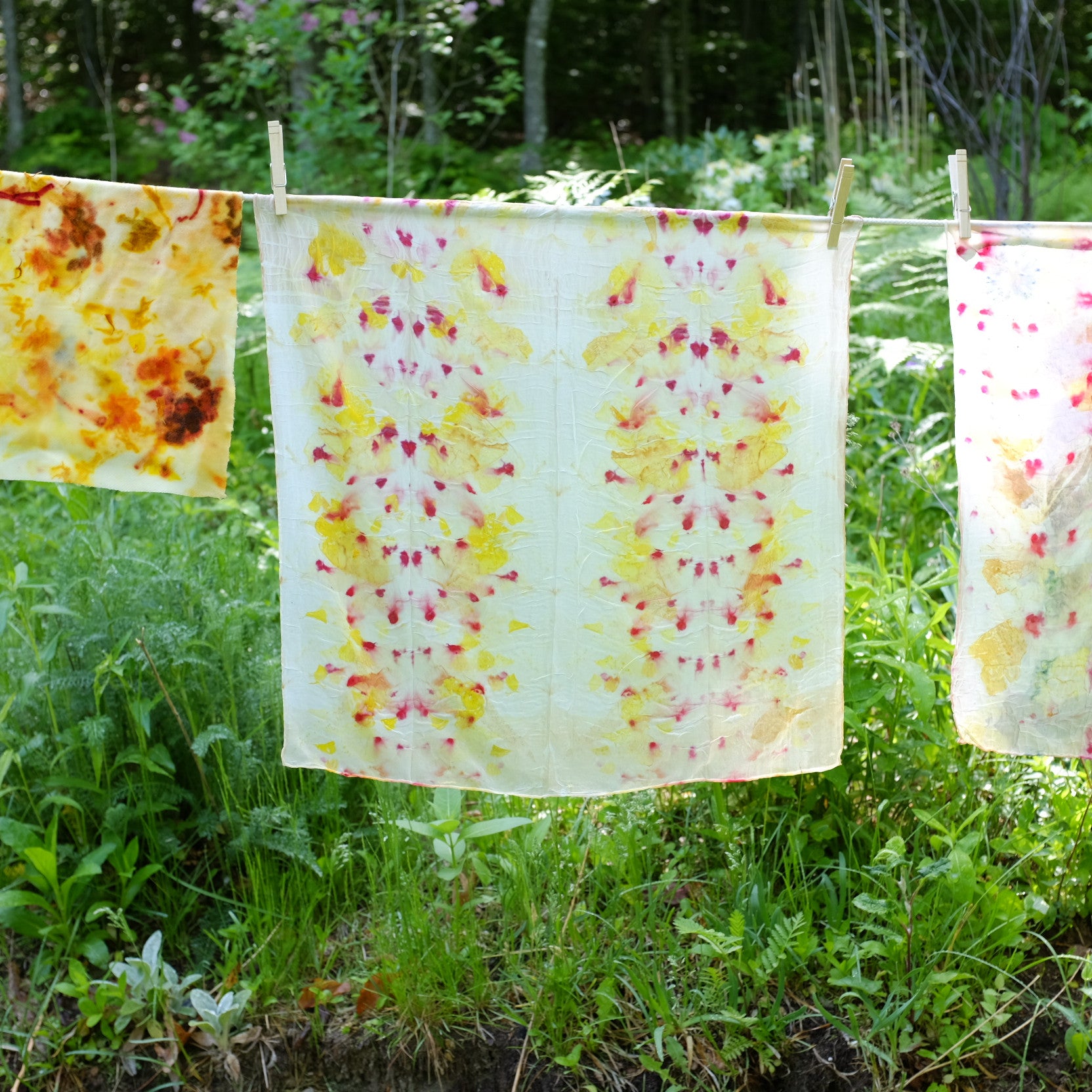 Mapping Color: Ecoprinting with Plants on Fabric - Saturday, July 8th