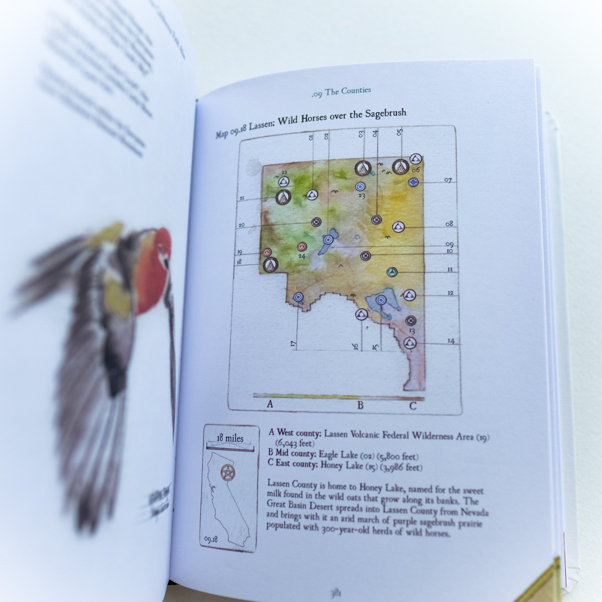 California Field Atlas by Obi Kaufmann