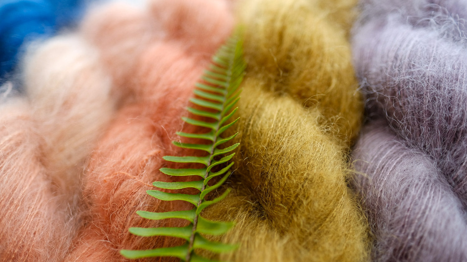 Frond - DYE-TO-ORDER