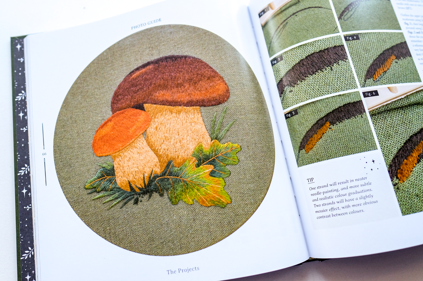 Paint with Thread: A Step-by-Step Guide to Embroidery Through the Seasons by Emillie Ferris