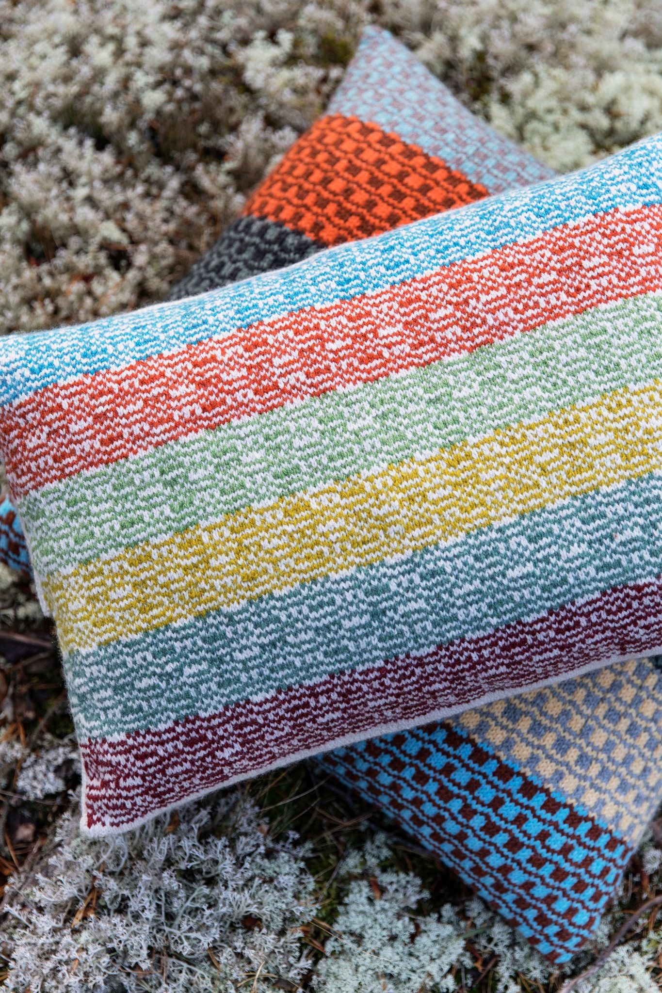 The Knitted Fabric: Colorwork Projects for You and Your Home by Dee Hardwicke