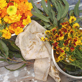 Mapping Color: Ecoprinting with Plants on Yarn - Saturday, July 15