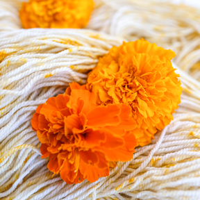 AVFKW x Mary Jane Mucklestone - Peach Pit Shawl Bundle